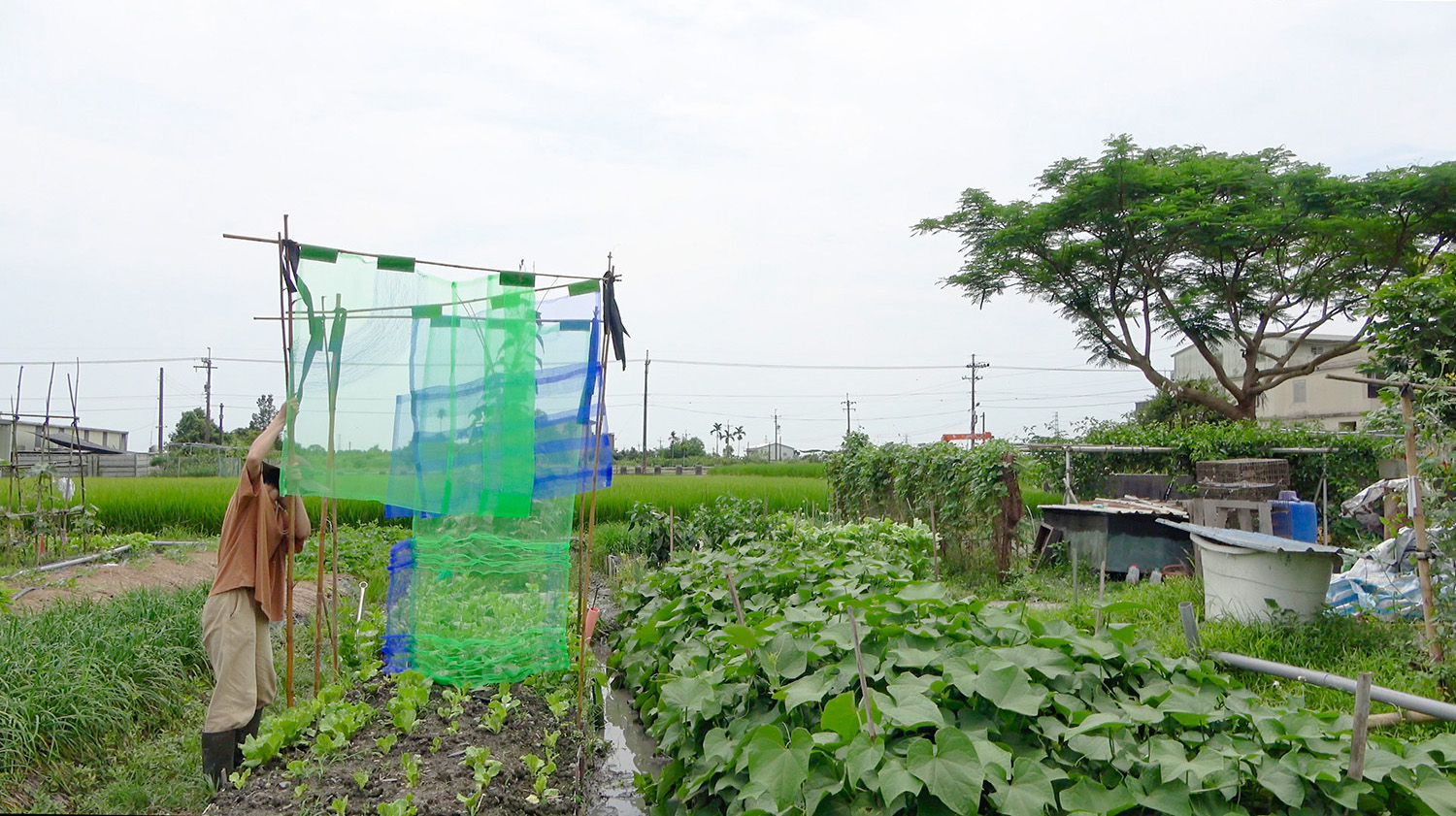 Cultivating_p3