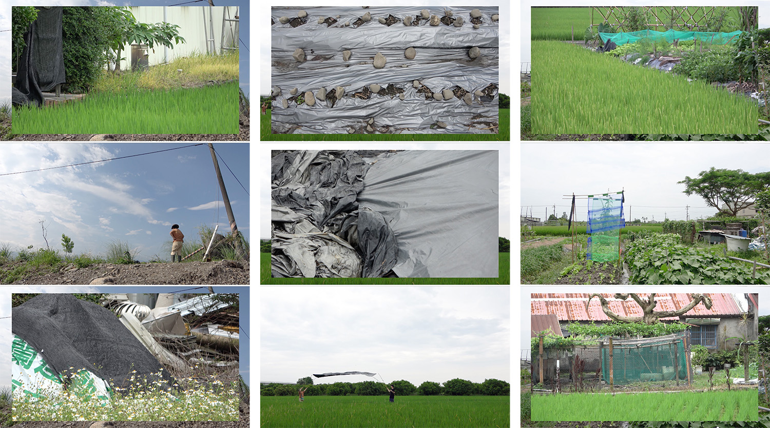 Cultivating_p4