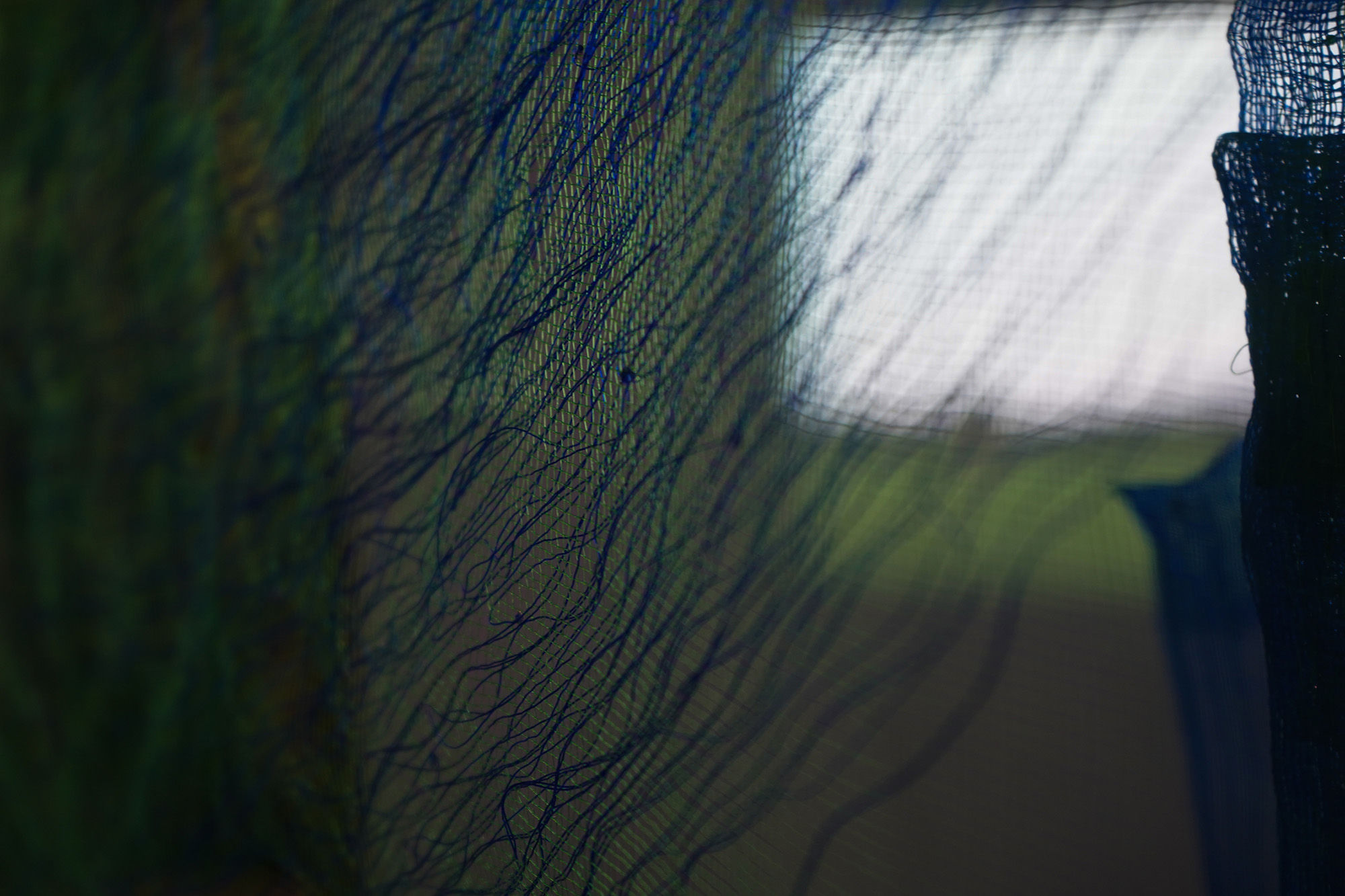 exhibition_cultivating_p1