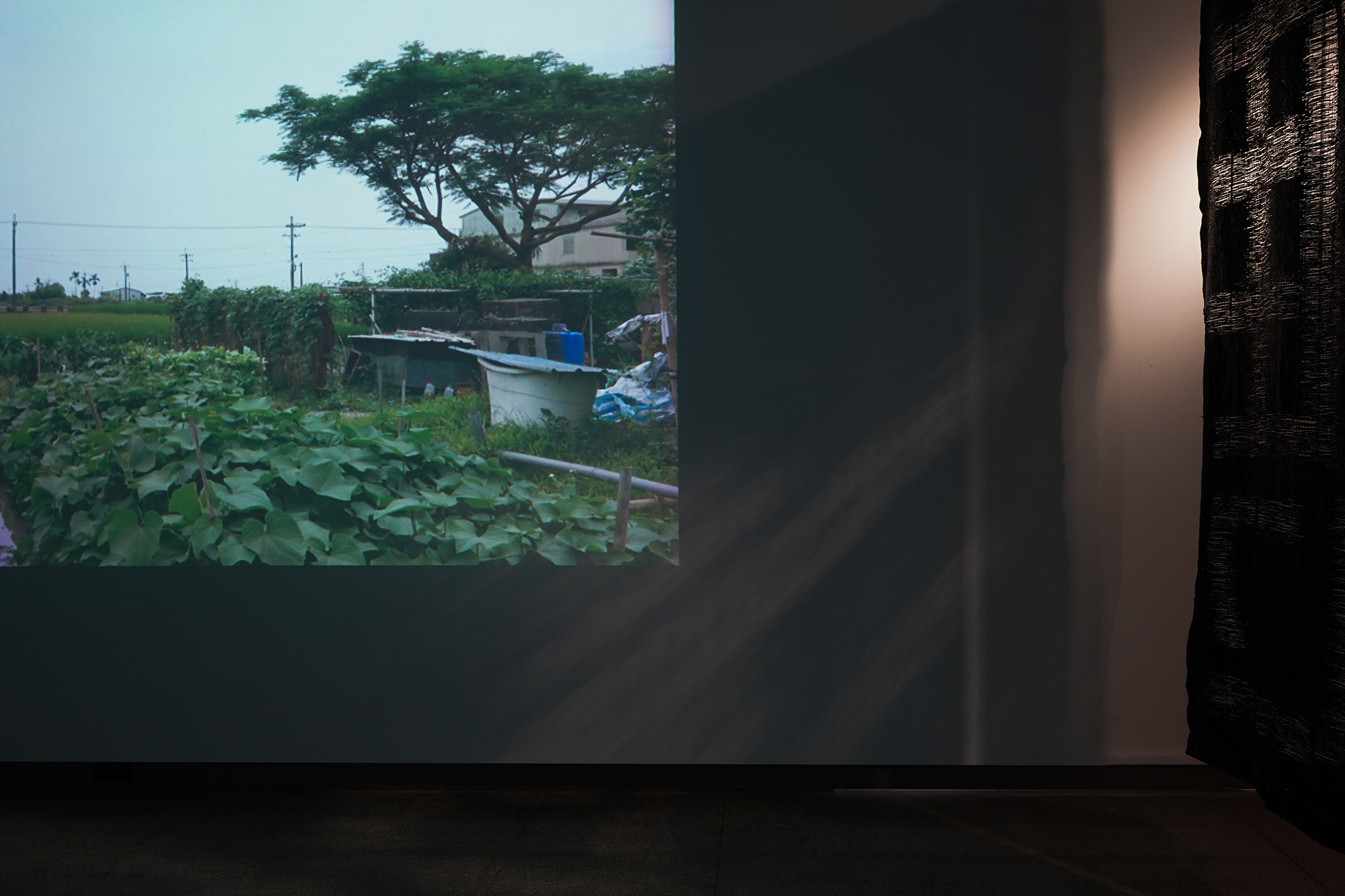 exhibition_cultivating_p5