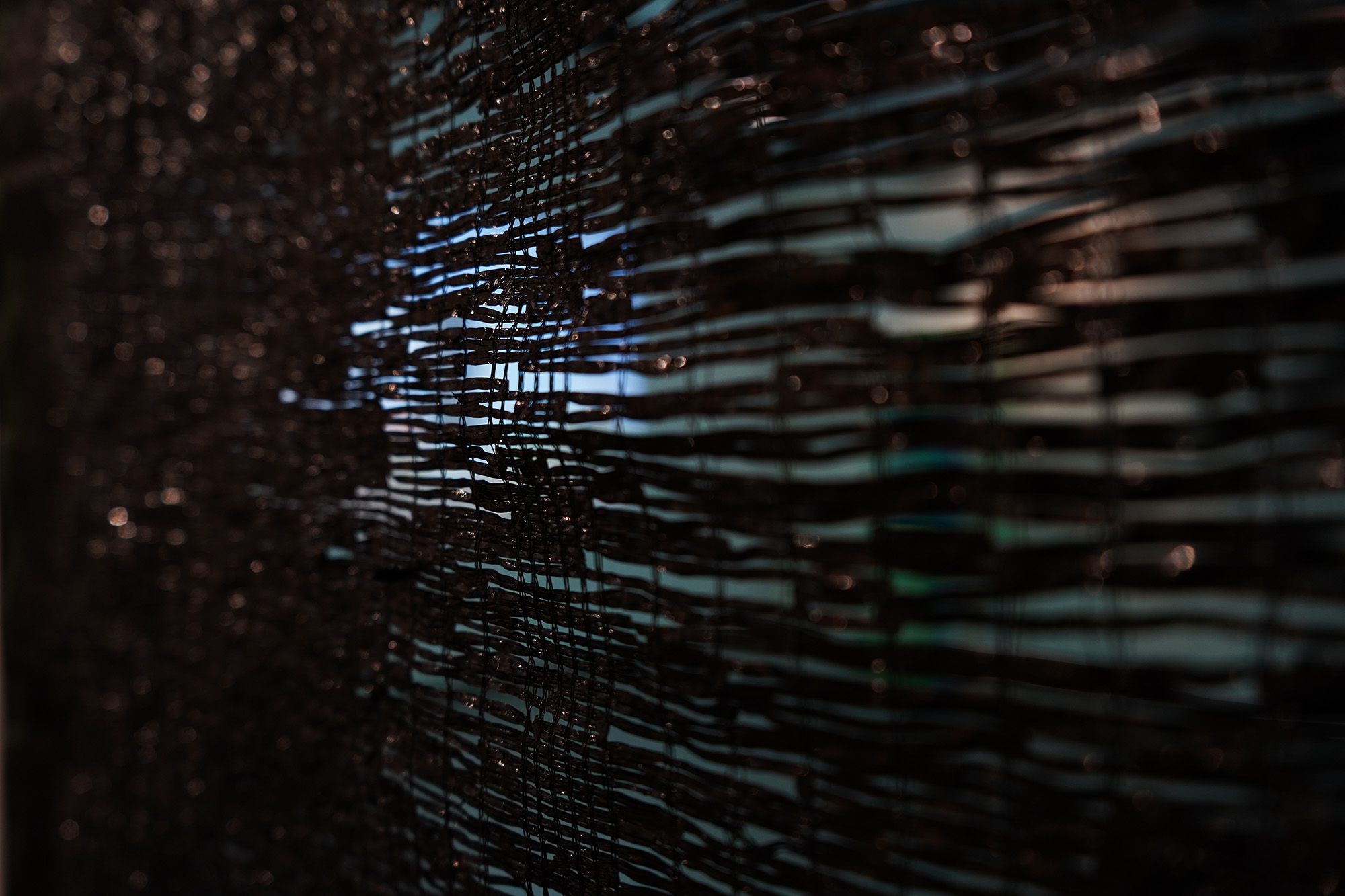 exhibition_cultivating_p6